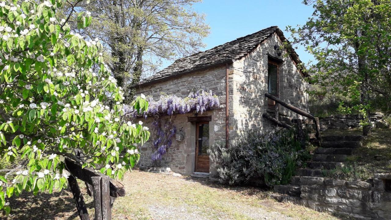 Ca' D'Alfieri Villa Bardi Dış mekan fotoğraf
